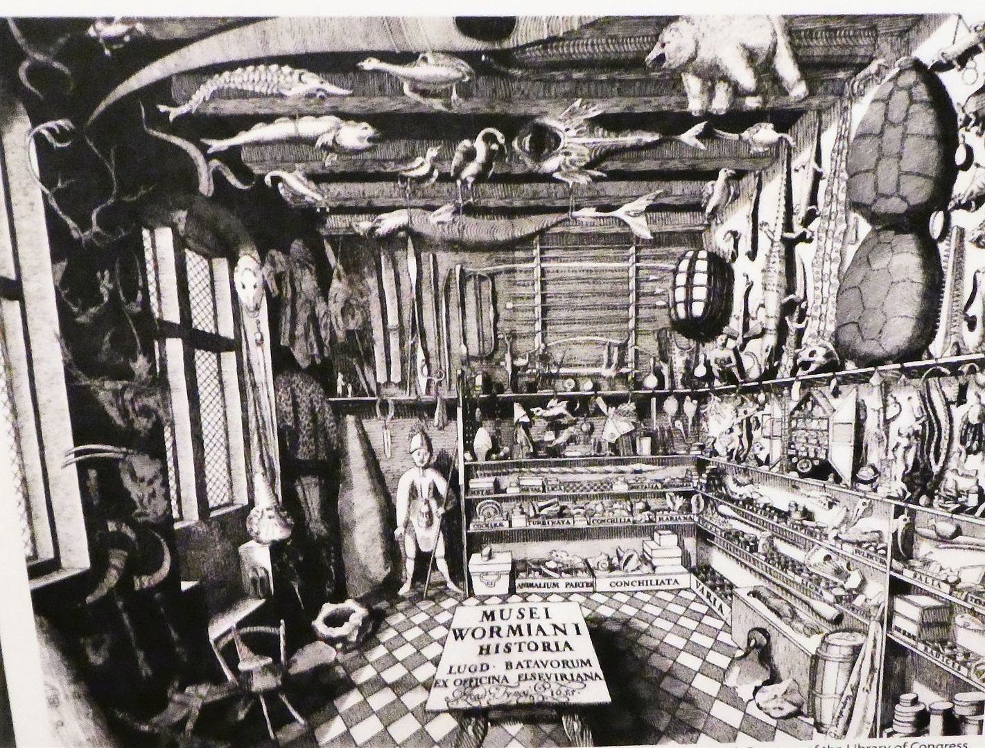 Museums 101 of Curiosity (Photo Diary)